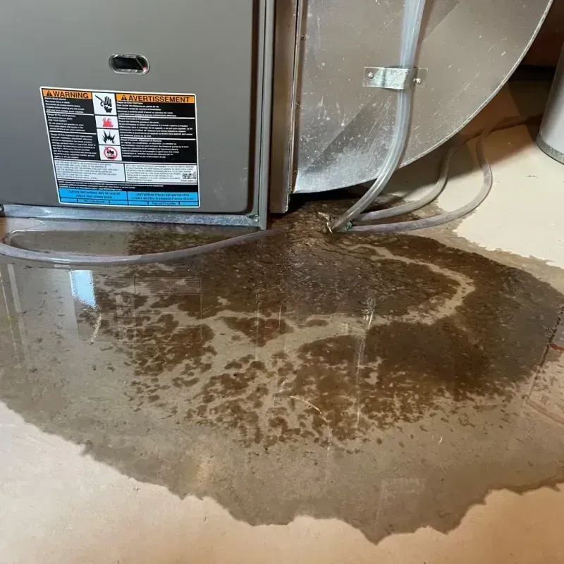 Appliance Leak Cleanup in Spring Lake, NC